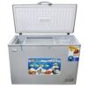 Sayona 350L Deep Freezer